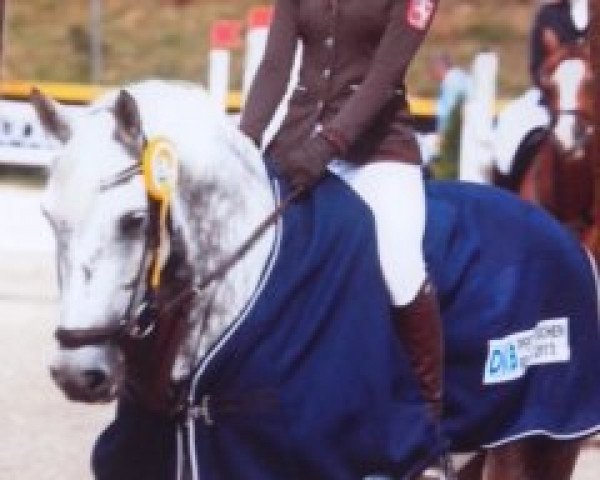 jumper Monte Negro (German Riding Pony, 2004, from Nobelboy)