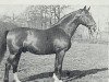 stallion Axtfeld 3694 (Hanoverian, 1946, from Axtmann I 3304)
