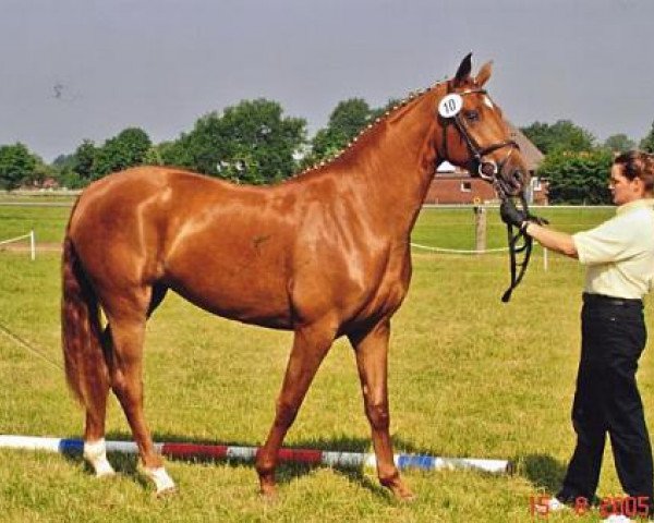 broodmare Darling Dorit (Hanoverian, 2003, from De Niro)