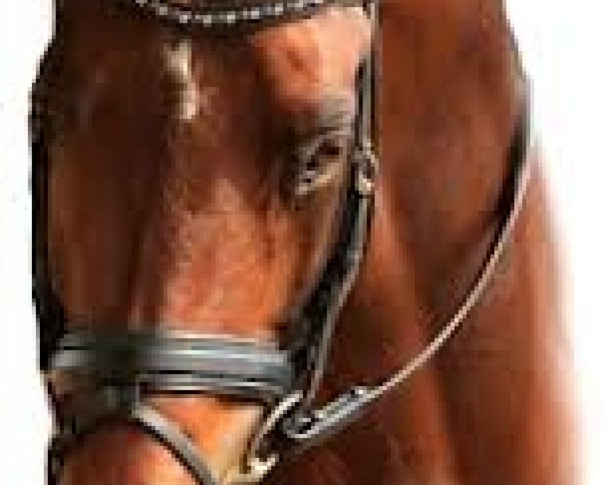stallion Top Der Da (German Riding Pony, 2006, from FS Don't Worry)
