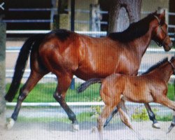 broodmare Fantastic Lips xx (Thoroughbred, 2012, from Elusive City xx)