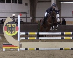 jumper Dakota 468 (German Riding Pony, 2014, from Don Diabolo NRW)