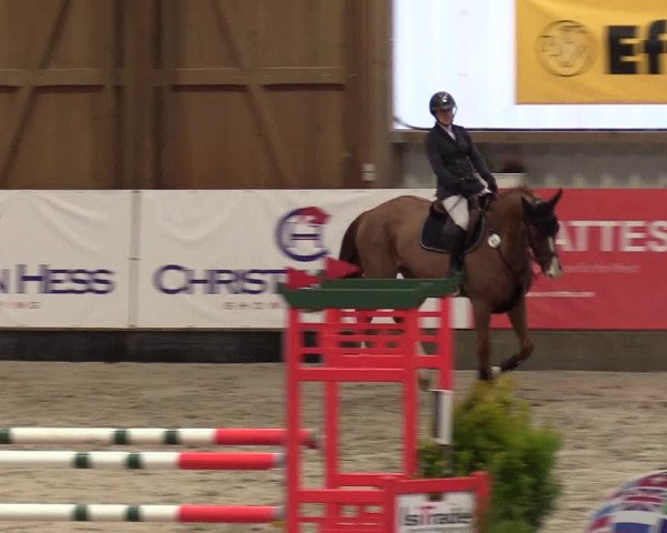 8. Nordic Jumping Event in Negernbötel 2022