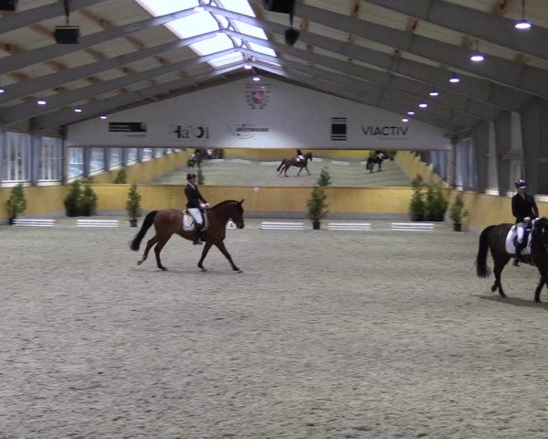 Spring- und Dressur Late Entry Münster-Amelsbüren 2022