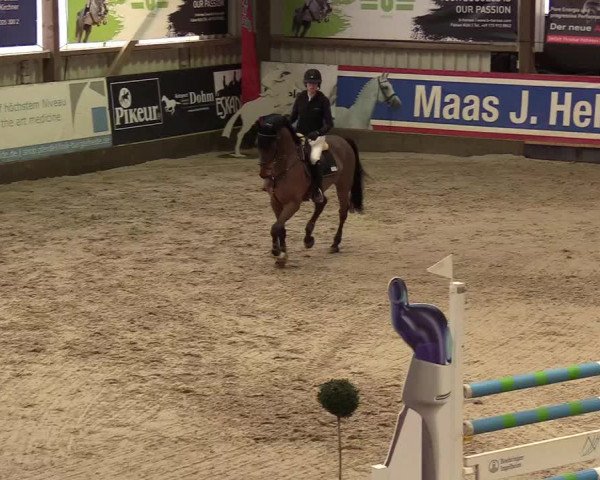 8. Nordic Jumping Event in Negernbötel 2022