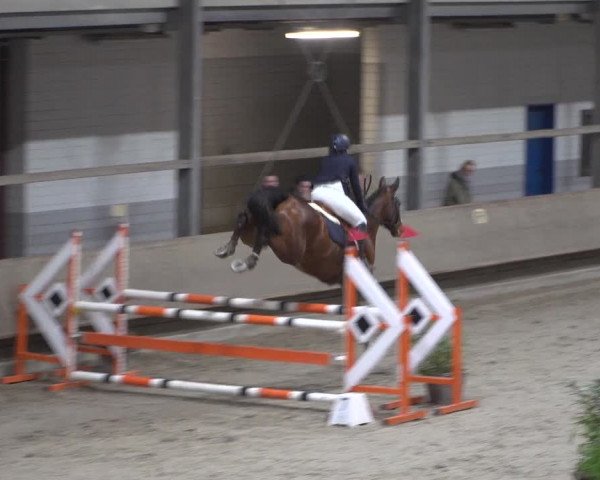 Spring-Late Entry Langenfeld - Gut Langfort 2022