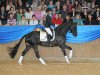 dressage horse Dürrenmatt (ex Domino) (Trakehner, 2009, from Hirtentanz 2)