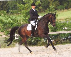 dressage horse Romantica (Westphalian, 2005, from Rockwell)