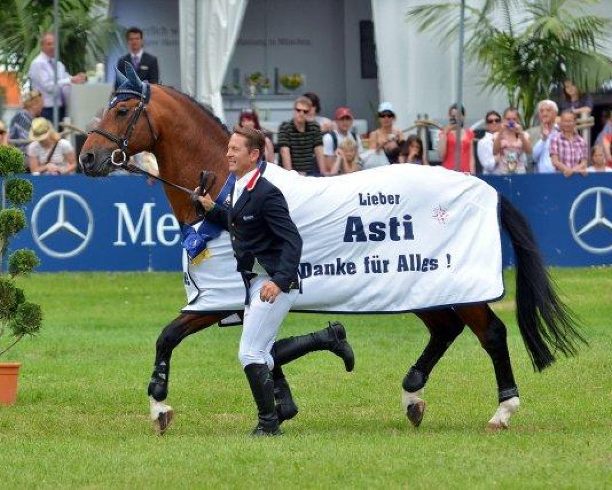 stallion Asti Spumante 7 (Oldenburg, 1995, from Argentinus)