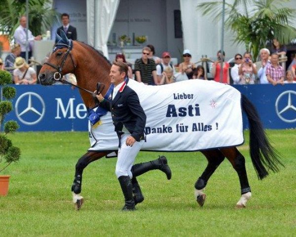 Deckhengst Asti Spumante 7 (Oldenburger, 1995, von Argentinus)