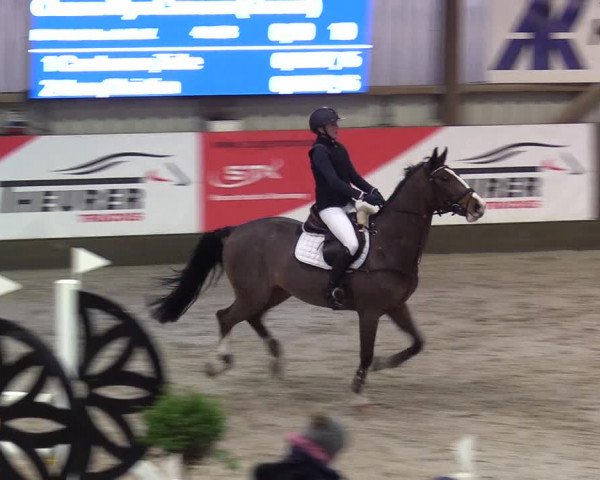8. Nordic Jumping Event in Negernbötel 2022