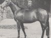 stallion Lucullus (Westphalian, 1967, from Lucius xx)