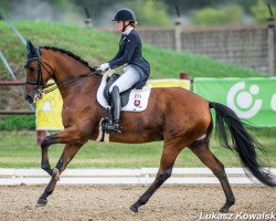 dressage horse Giovanni (Hanoverian, 2006, from Grafenstolz)