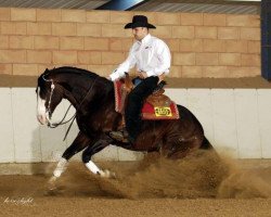 stallion ARC Surprise Oak (Quarter Horse, 2002, from Surprise Enterprise)