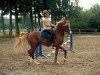 stallion Silverado (Nederlands Welsh Ridepony, 1986, from Flora's Hof Minstrel)