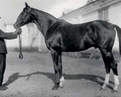 stallion Tagor xx (Thoroughbred, 1915, from Floreal xx)