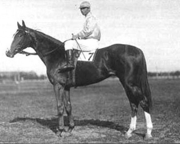 stallion Granit II xx (Thoroughbred, 1930, from Tagor xx)