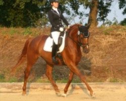 horse Nala 131 (Trakehner, 2008, from Kaiserdom)