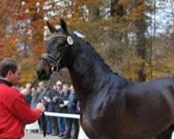 stallion Dobrowski (Westphalian, 2011, from Diatano)