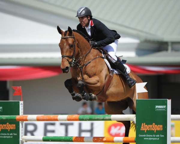 Springpferd Dimaro V D Looise Heide (Belgisches Warmblut, 2003, von Kashmir van't Schuttershof)