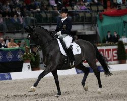 dressage horse Antony FRH (Hanoverian, 1986, from Argument)