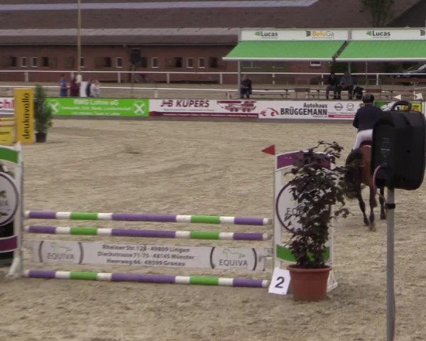 Euregioturnier Wietmarschen 2015