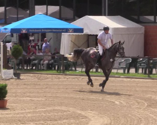 62. Lobbericher Reitsportfestival 2015