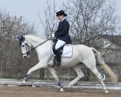 broodmare Lettenhofs Nastassja (German Riding Pony, 1994, from Diamond Rum)