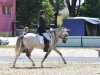 dressage horse Lettenhofs Doolittle (German Riding Pony, 2005, from FS Don't Worry)