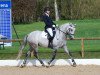 dressage horse Lettenhofs Derano Dancer (German Riding Pony, 2007, from Derano Gold)