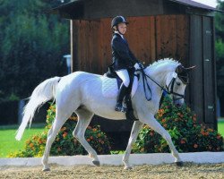 broodmare Lettenhofs Nothing Else (German Riding Pony, 1998, from Dörnberg's Erimon II)