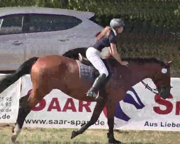 Springturnier Idar-Oberstein 2015