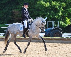 broodmare Lettenhofs Lovely Emotion (German Riding Pony, 2003, from Dörnberg's Erimon II)