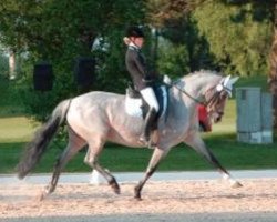 broodmare Lettenhofs Lovely Evergreen (German Riding Pony, 2002, from Dörnberg's Erimon II)