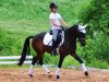 dressage horse Lettenhofs Lovely Daintiness (Kleines Deutsches Pony, 2007, from Derano Gold)