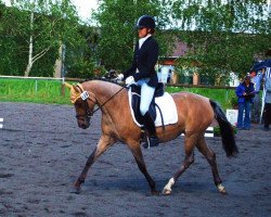 dressage horse Lettenhofs Lovely Daylight (German Riding Pony, 2007, from Derano Gold)