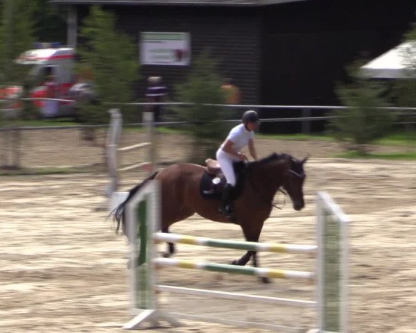 Reitturnier Neunkirchen-Salchendorf 2015