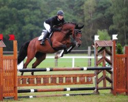 Springpferd Chicago's Chester Z (Zangersheide Reitpferd, 2008, von Chicago Z)