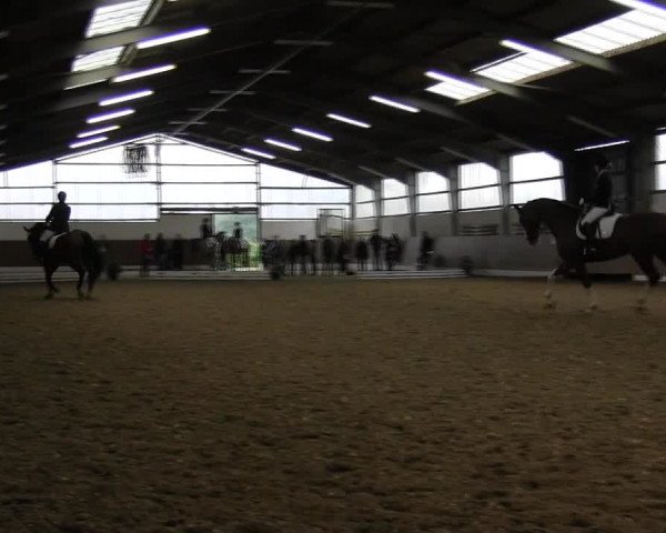 Reitturnier Datteln 2015