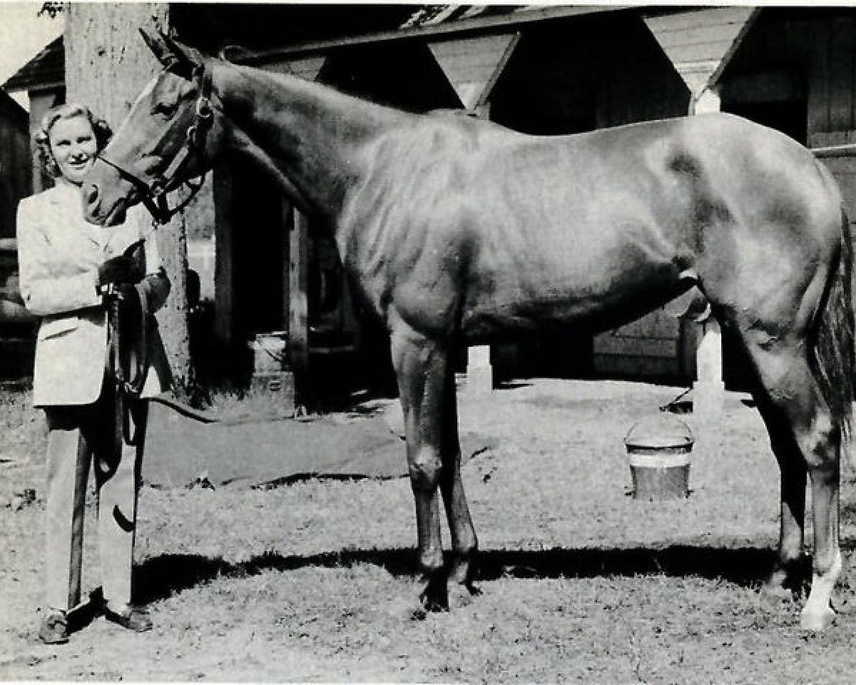 broodmare Levee xx (Thoroughbred, 1994, from Greinton xx)