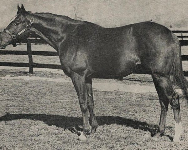 stallion Royal Gunner xx (Thoroughbred, 1962, from Royal Charger xx)