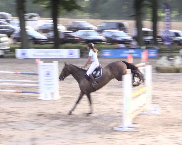 Reitturnier Recklinghausen 2015