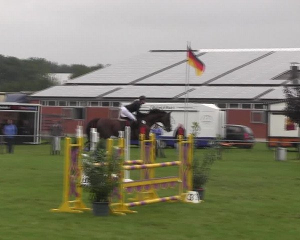 Reitturnier Holdorf 2015