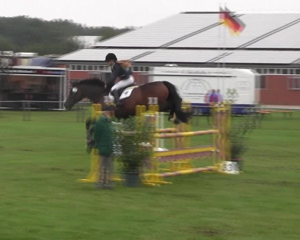 Reitturnier Holdorf 2015