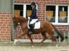 broodmare Donegal S (German Riding Pony, 2007, from Dior)