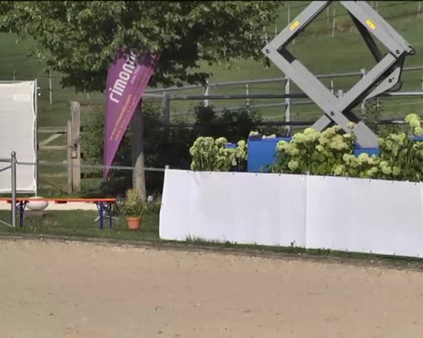 Reitturnier Waldachtal-Heiligenbronn 2015