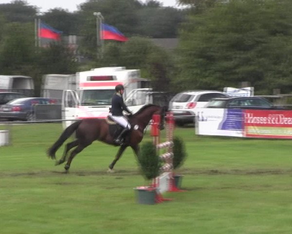 Reitturnier Holdorf 2015