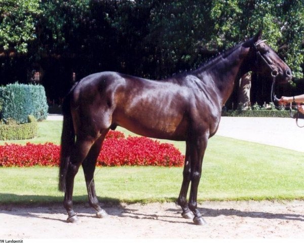 stallion Flucato xx (Thoroughbred, 1991, from Acatenango xx)