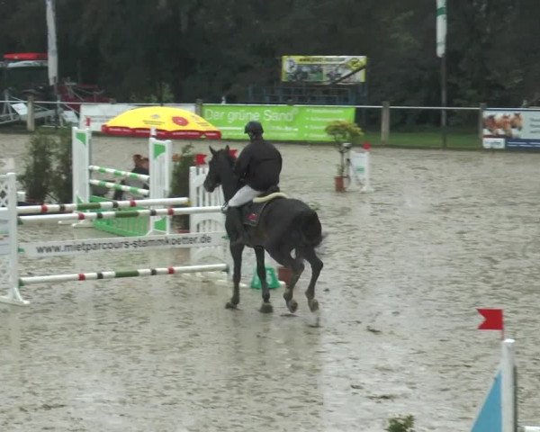 Bad Rothenfelder Reitertage 2015