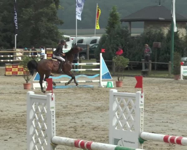 Bad Rothenfelder Reitertage 2015